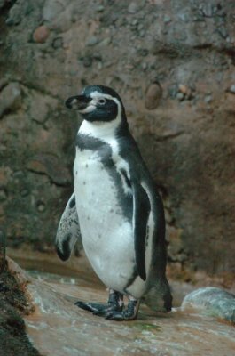 DSC_3763.jpg
