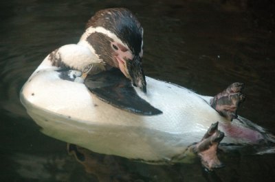 DSC_3767.jpg