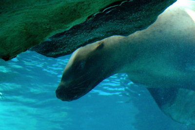 DSC_3789.jpg
