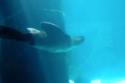 DSC_3795.jpg