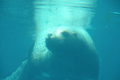 DSC_3804.jpg