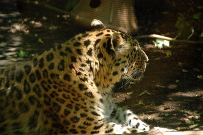 DSC_3816.jpg