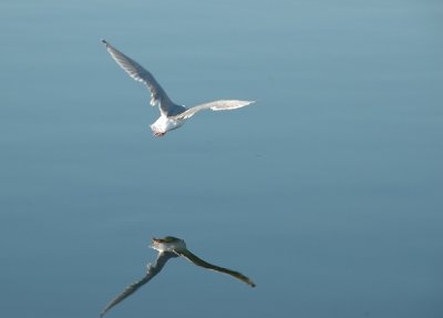 DSC_27111.jpg