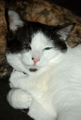 DSC_29031.jpg