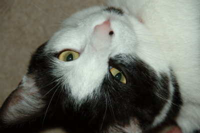 DSC_29111.jpg