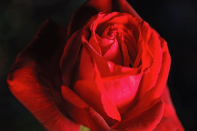 DSC_2900.jpg