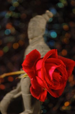 DSC_2929.jpg
