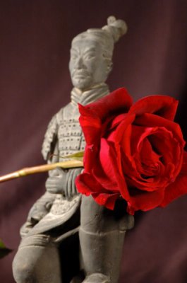 DSC_2936.jpg