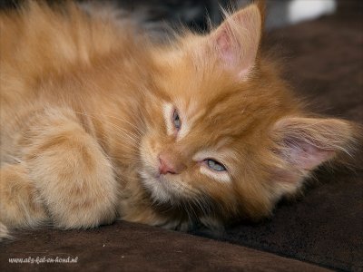 8 weeks young - 2009_A313730-02.JPG