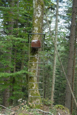 DSC_0184.JPG
