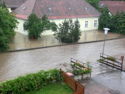 besonders das Bundesforst-Haus