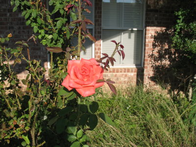 IMG_0941.JPG