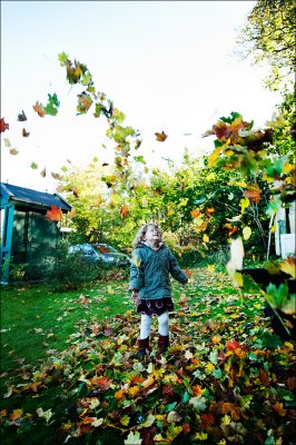 Autumn in the garden