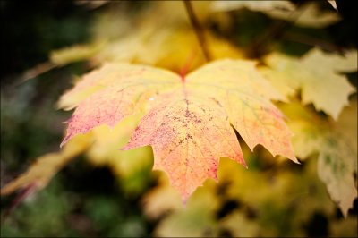20091022