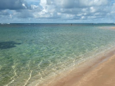 GREEN-EMERALD  SEASCAPE