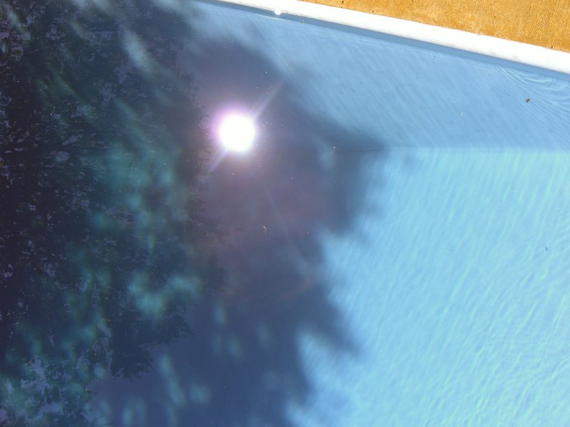 Pool Reflection