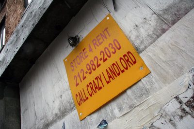 Crazy Landlord