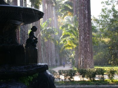 Botanical Gardens (Jardim Botnico)