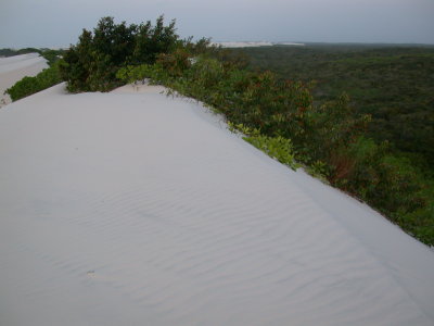 The east boundary facing Barreirinhas: sand on the left, forest on the right