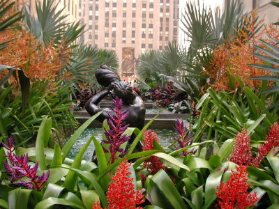 Rockefeller Center, the Channel Gardens