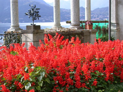 Varenna, Villa Monastero