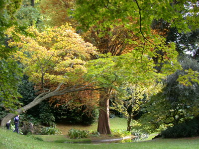 Bellagio, Villa Melzi gardens
