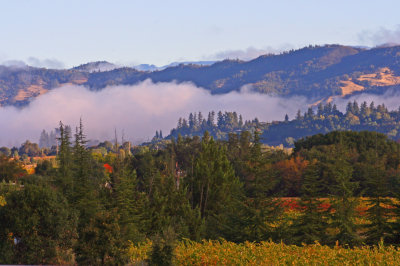 California Coastal Valley in Fall.jpg