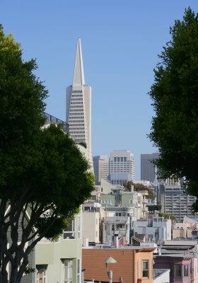 TransAmerica rising.jpg