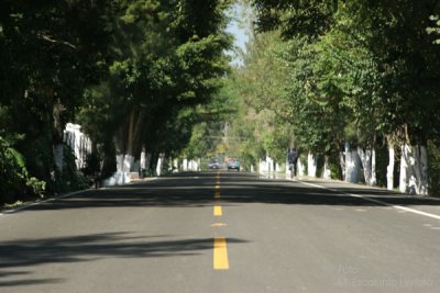 Vista de la Ruta de Ingreso a la Cabecera