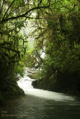 Cataratas