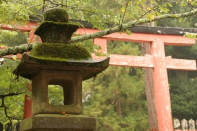Alrededores del Shrine Kasuga