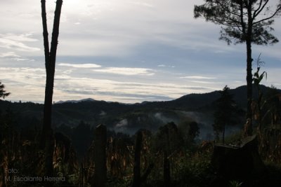 Amanecer sobre la Sierra de las Minas
