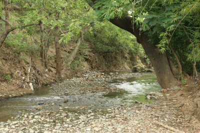 Parajes Naturales Unicos se Encuentra Proximos a la Poblacion