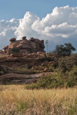 Texas Canyon Vista
