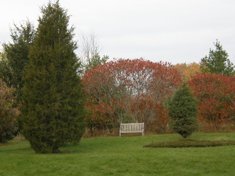 Arboretum of Guelph (Canada)