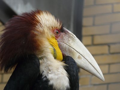 P1310154