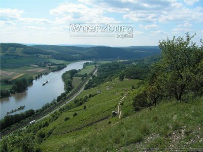 Grainberg Kalbenstein - Klettergarten bei Karlstadt