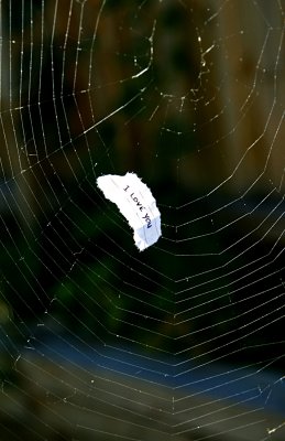 2 May  Web Of Deceit ...