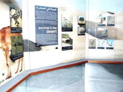 Day 2 Dubai Museum (26).JPG