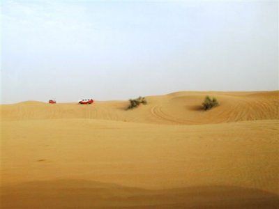Desert 4WD and dinner tour (22).JPG