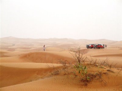 Desert 4WD and dinner tour (66).JPG