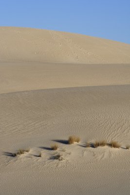 Sand dunes, Little Sahara