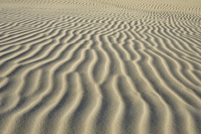 Sand dunes, Little Sahara