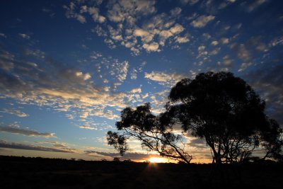 Gluepot sunset 2