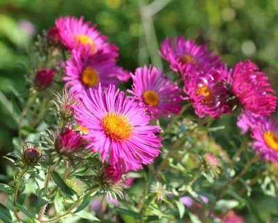 Cherkley Court 0908_ 64.jpg