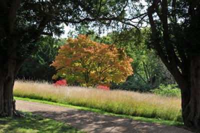 Cherkley Court 0908_ 99.jpg