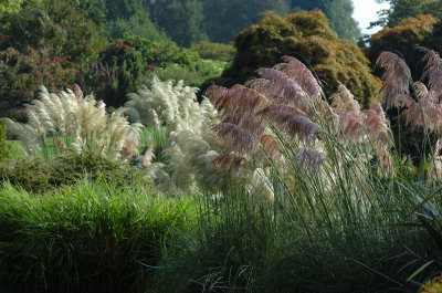 Wakehurst Place, Sussex