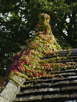 Wakehurst Place, Sussex