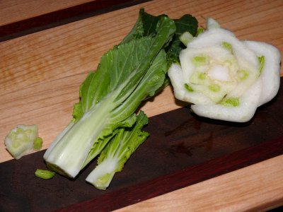 Bok Choy Different Angle