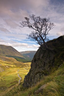 Corrie Fee.